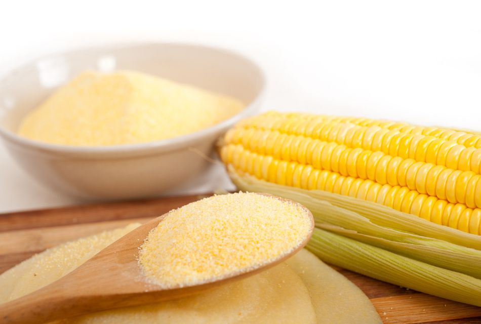 Everything that has to be known about the process of corn milling 2