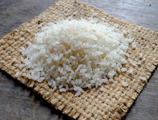 Por qué usar arroz partido para el sector Pet Food